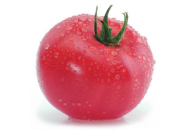 Брида F1 - томат индетерминантный, 1 г, Agri Saaten Германия фото, цена